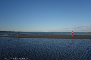 Cape Breton Living Photo of the Week: Pt Michaud Beach
