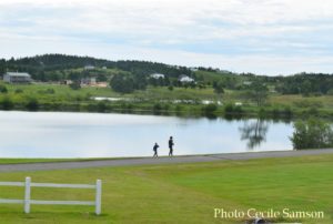 Cape Breton Living Photo of theWeek: L'Ardoise - Out Looking for Ducks
