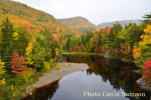 Cape Breton Living Photo of the Week: Cabot Trail Colours